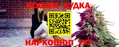 амф Будённовск