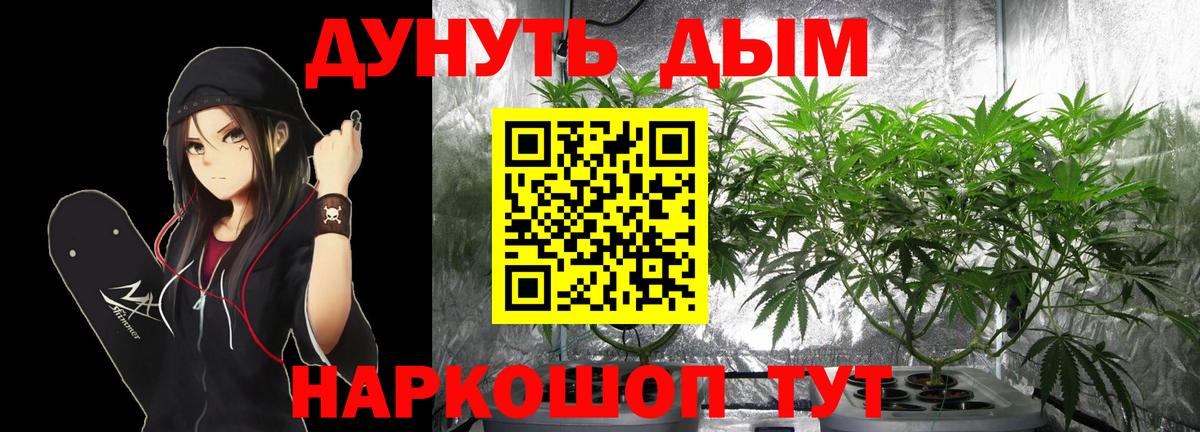 Конопля планчик  Шишки марихуана AK-47  Отрадный  Вход с VPN  Канабис White Widow  Конопля конопля 