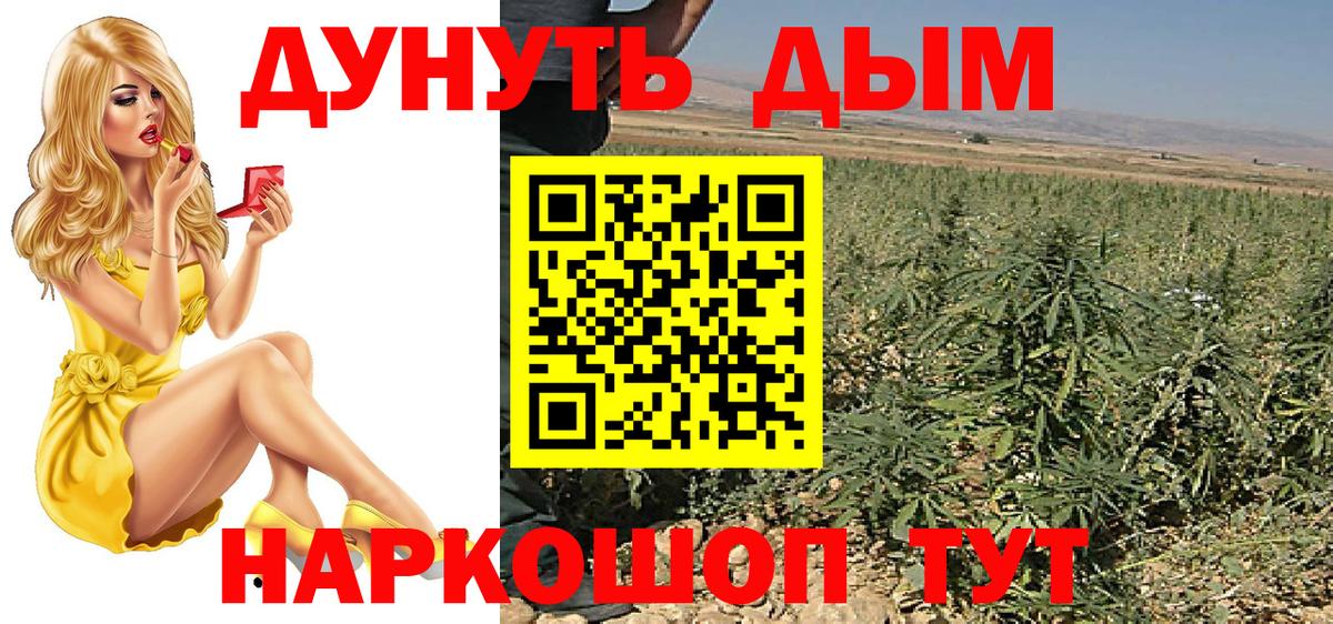 Каннабис индика Отрадный